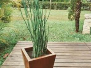 Foto de Cheiro de Terra Jardinagem em Lençóis Paulista, SP por Solutudo