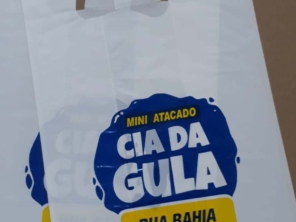 Foto de PA Sacolas e Bexigas Personalizadas em Botucatu, SP por Solutudo