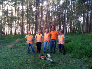 Foto de Center Maq Floresta & Jardim em Itatinga, SP por Solutudo