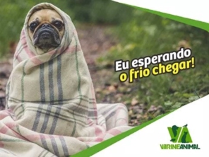 Foto de Vitrine Animal em Assis, SP por Solutudo