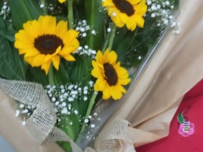 Foto de Iracema Flores em Lençóis Paulista, SP por Solutudo