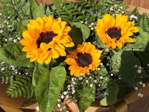 Foto de Iracema Flores em Lençóis Paulista, SP por Solutudo