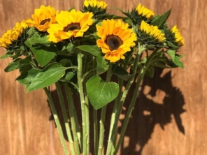 Foto de Iracema Flores em Lençóis Paulista, SP por Solutudo