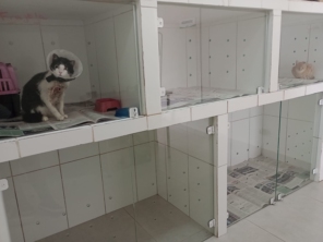 Foto de Clínica Veterinária Auqmia em Avaré, SP por Solutudo
