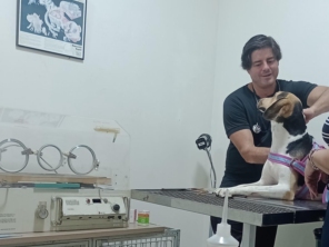 Foto de Clínica Veterinária Auqmia em Avaré, SP por Solutudo