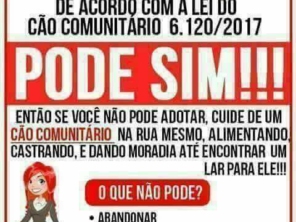 Foto de Clínica Veterinária SAÚDE ANIMAL em Santa Cruz do Rio Pardo, SP por Solutudo