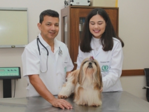 Foto galeria da empresa