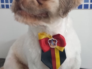 Foto de Jucão Consultório Veterinário em Avaré, SP por Solutudo