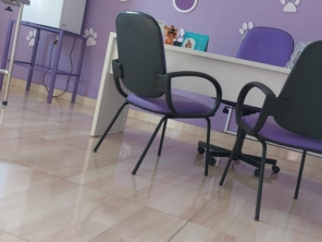 Foto de Spaço Pet em Avaré, SP por Solutudo
