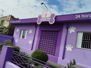 Foto galeria da empresa