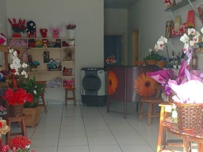 Foto de Will Flores em Ourinhos, SP por Solutudo