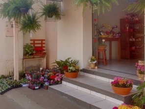 Foto de Will Flores em Ourinhos, SP por Solutudo