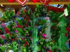 Foto de Will Flores em Ourinhos, SP por Solutudo