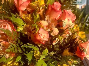 Foto de Will Flores em Ourinhos, SP por Solutudo