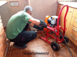 Foto de Bio Insetos em Ourinhos, SP por Solutudo