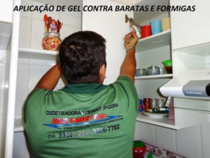 Foto de Bio Insetos em Ourinhos, SP por Solutudo