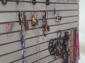 Foto galeria da empresa