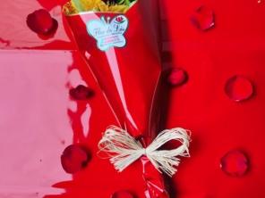 Foto de Flor de Lis - Floricultura e Presentes em Ourinhos, SP por Solutudo