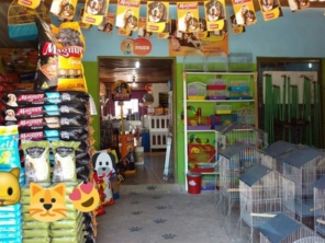 Foto de Pet Cão em São Manuel, SP por Solutudo