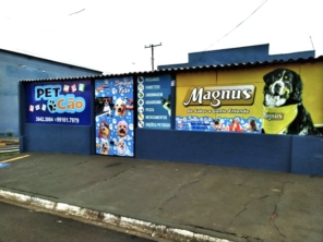 Foto de Pet Cão em São Manuel, SP por Solutudo