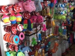 Foto de Pet Cão em São Manuel, SP por Solutudo