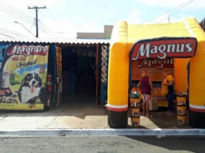 Foto de Pet Cão em São Manuel, SP por Solutudo