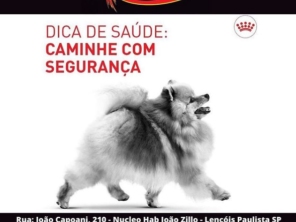 Foto de Agropecuária Fênix Lençóis Paulista 1 - Pet Shop em Lençóis Paulista, SP por Solutudo