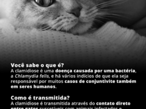 Foto de Agropecuária Fênix Lençóis Paulista 1 - Pet Shop em Lençóis Paulista, SP por Solutudo