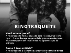 Foto de Agropecuária Fênix Lençóis Paulista 1 - Pet Shop em Lençóis Paulista, SP por Solutudo