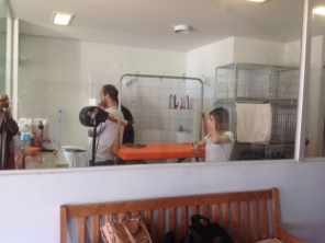 Foto galeria da empresa