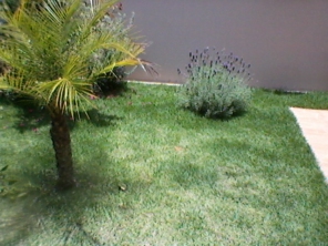Foto de JC Jardinagem em Botucatu, SP por Solutudo