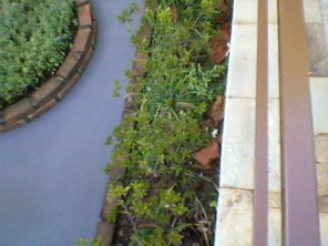 Foto de JC Jardinagem em Botucatu, SP por Solutudo