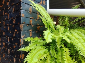 Foto de KonstruLaer Pedras Decorativas em Ourinhos, SP por Solutudo