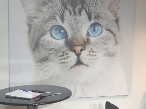 Foto de Identifik Comunicação Visual em Botucatu, SP por Solutudo