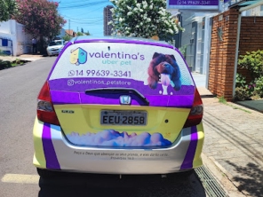 Envelopamento veículo