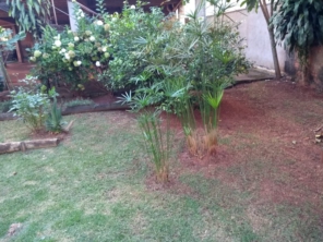 Foto de Jardinagem em Geral - Constantino Silva em Botucatu, SP por Solutudo