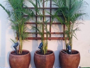 Foto de Jardinagem em Geral - Constantino Silva em Botucatu, SP por Solutudo