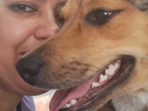 Foto de PETBEL Banho e Tosa em Avaré, SP por Solutudo