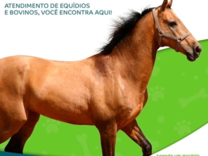 Foto de Agrodel em Itatiba, SP por Solutudo