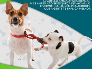 Foto de Agrodel em Itatiba, SP por Solutudo