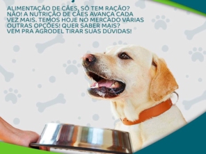 Foto de Agrodel em Itatiba, SP por Solutudo