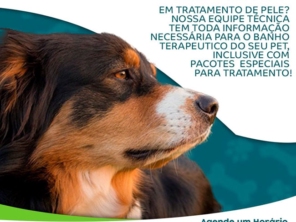 Foto de Agrodel em Itatiba, SP por Solutudo
