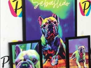 Foto galeria da empresa