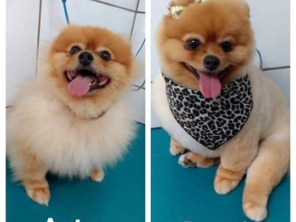 Foto galeria da empresa