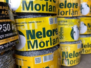 Foto galeria da empresa