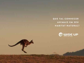 Foto de Wise Up Ourinhos em Ourinhos, SP por Solutudo