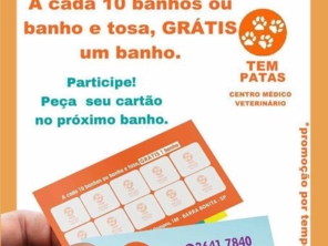 Foto de Tem Patas em Barra Bonita, SP por Solutudo