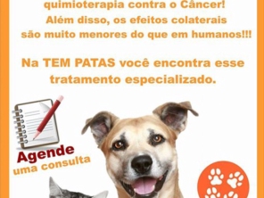 Foto de Tem Patas em Barra Bonita, SP por Solutudo