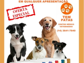 Foto de Tem Patas em Barra Bonita, SP por Solutudo