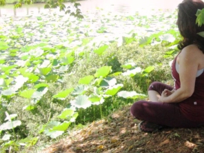 Foto de Yoga Itatiba em Itatiba, SP por Solutudo
